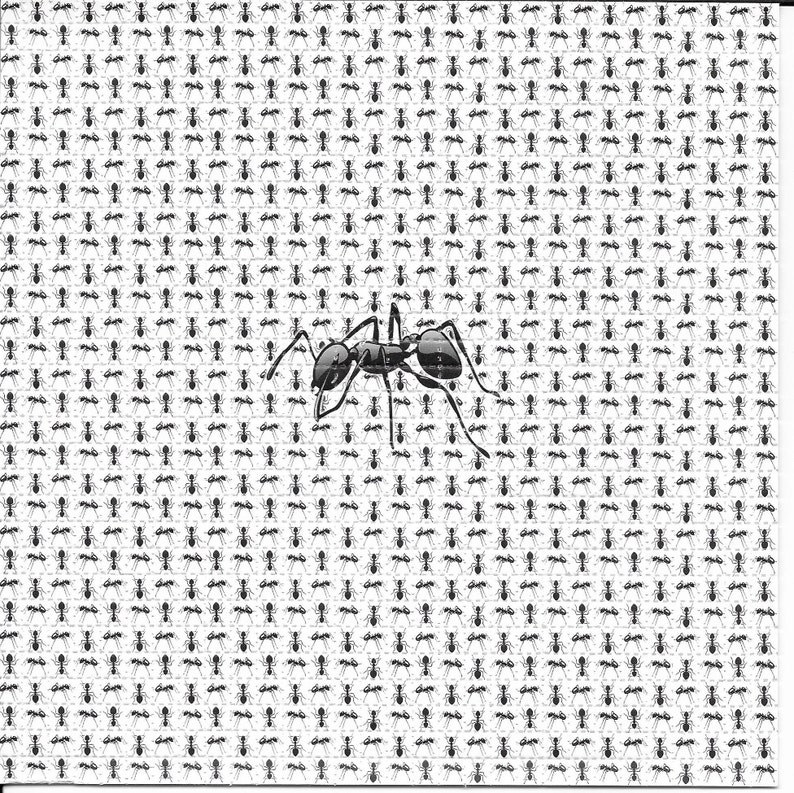 Ink Blotter Paper - Ants Animal Psychedelic LSD Acid Free