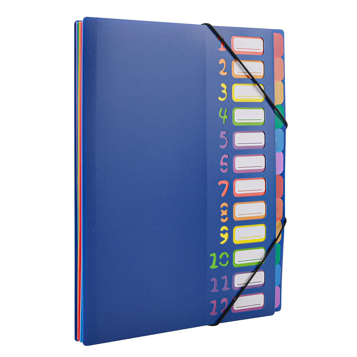 Tab Divider A4 - A4 Size Rainbow Tab Expanding File