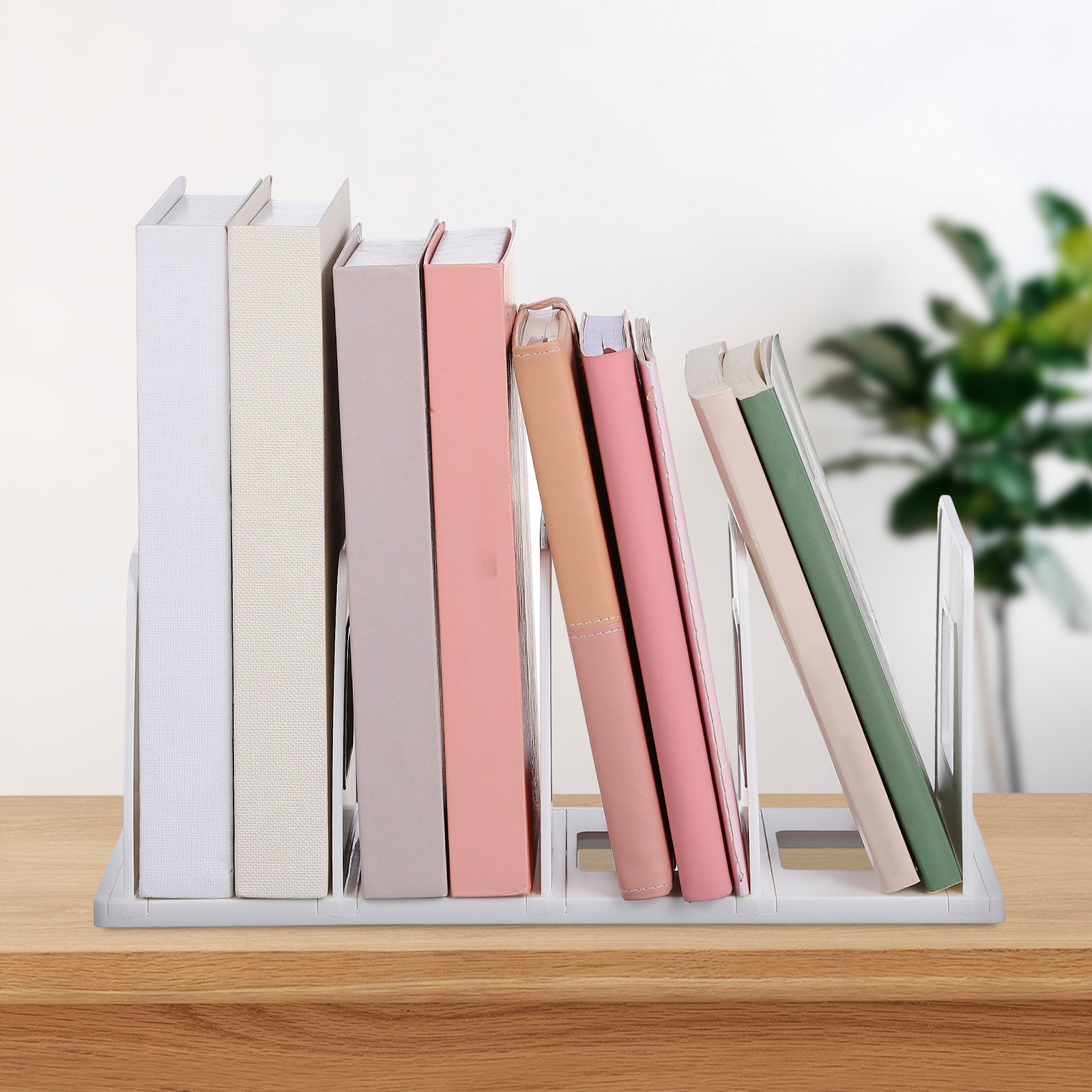 Vertical File Holder Desktop O - Magazine Holder Rack ulasan dan harga