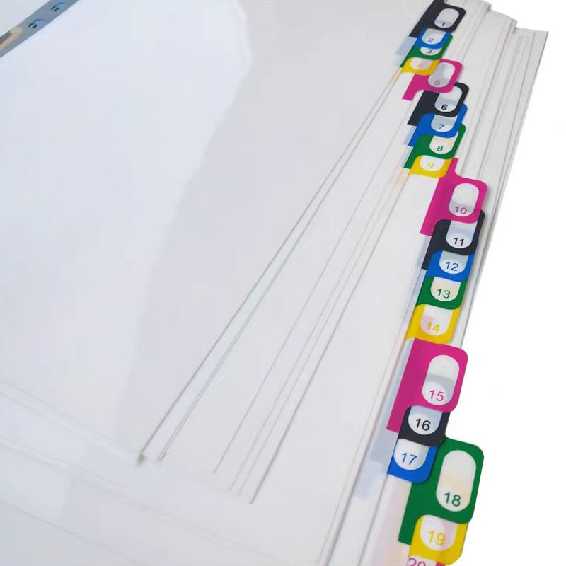 5/10/20Sheets/Lot A4 Divider I - Tab Divider A4 ulasan dan harga