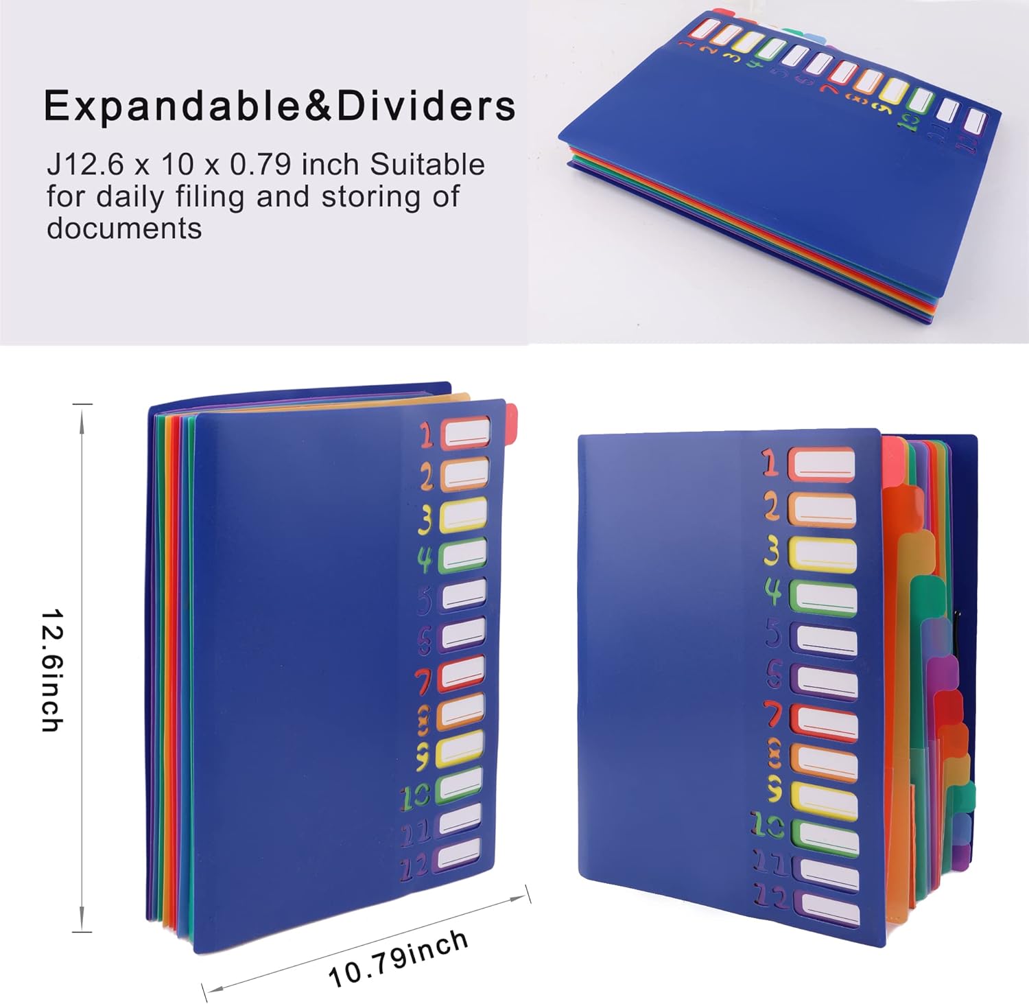 A4 Size Rainbow Tab Expanding  - Tab Divider A4 ulasan dan harga
